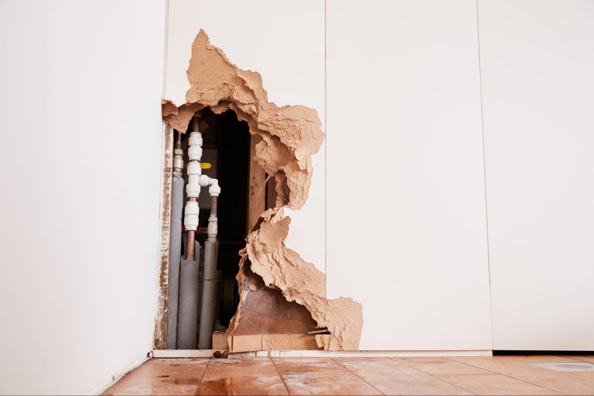 Why Timeliness is Key in Water Damage Services and Restoration