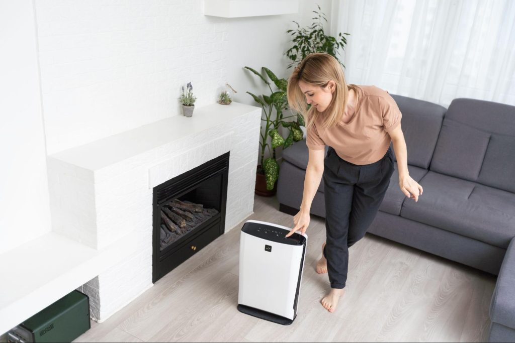 A woman operates a dehumidifier with a touch panel, humidity indicator, UV lamp, and air ionizer in a modern living room with a gray sofa and chimney.