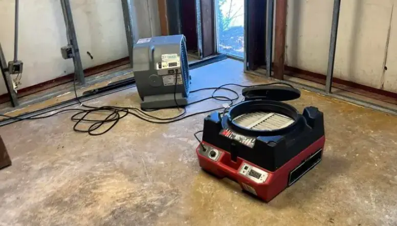 Assessment and Restoration