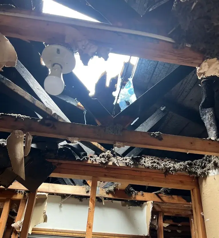 Hail Roof Damage Restoration