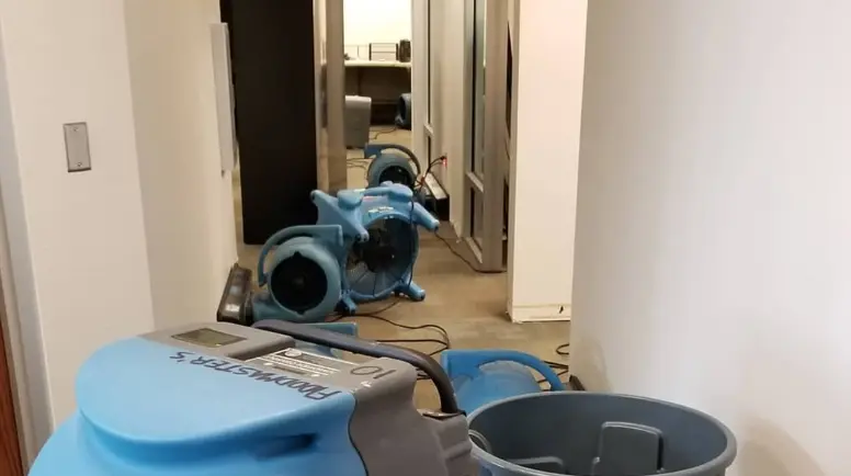 Specialized Drying Techniques