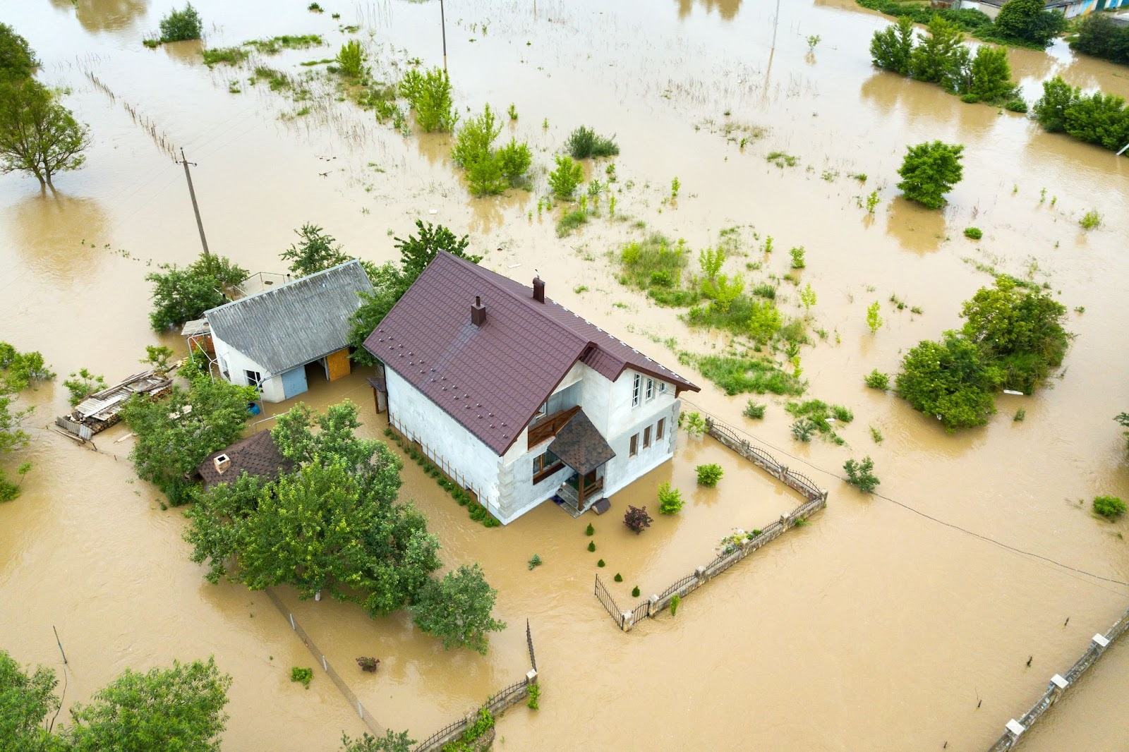 What Does a Water Mitigation Company Do?