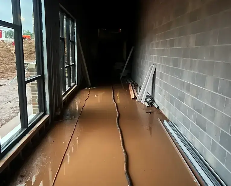 Basement & Crawl Space Water Extraction